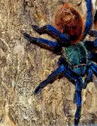 九游体育网站入口 -包含a廑蛛I?